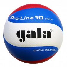 Gala volleybal Pro-line 5171S10